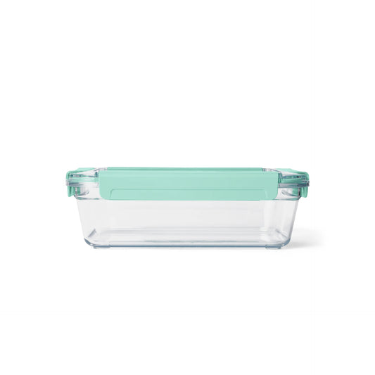 Large Plastic Food Storage - US 5933