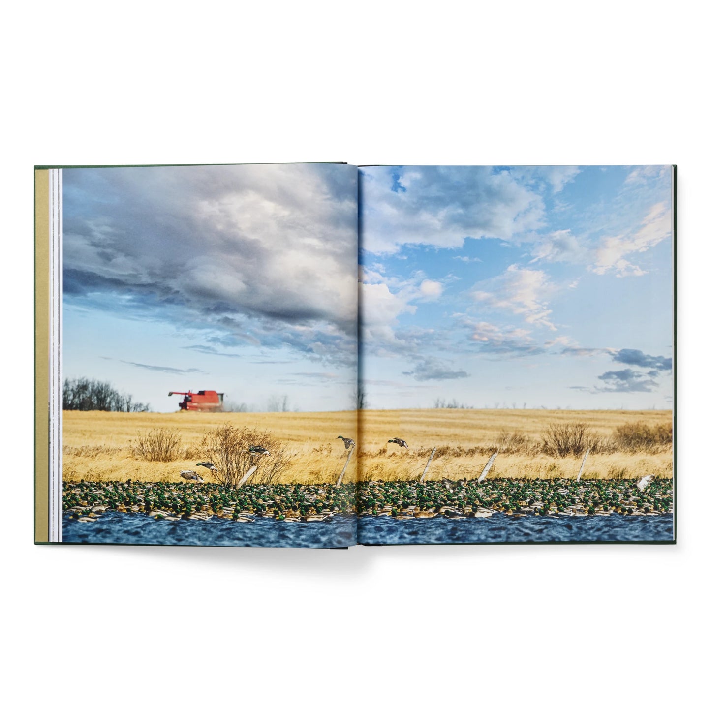 Ducks Coffee Table Book - US 8236