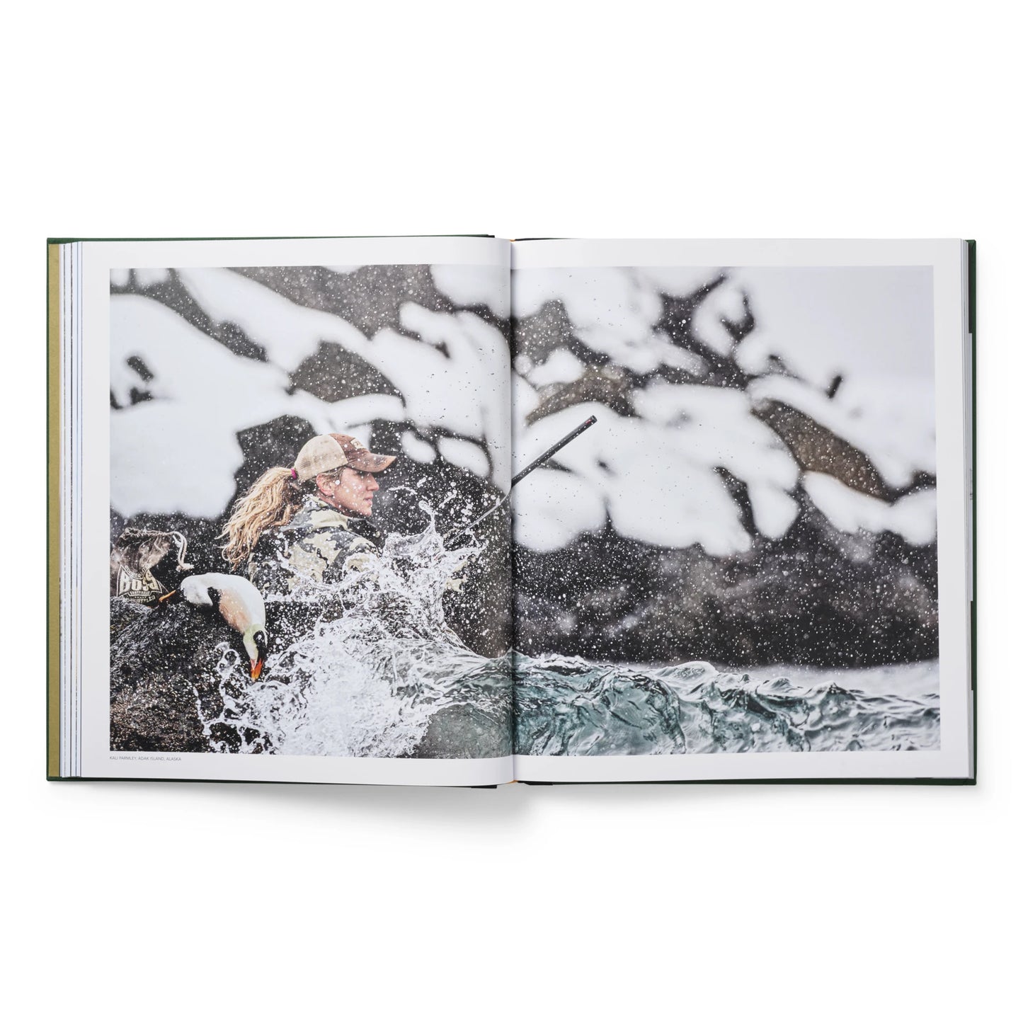 Ducks Coffee Table Book - US 8236